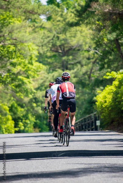 Obraz 夏の公園で自転車を乗っている人々