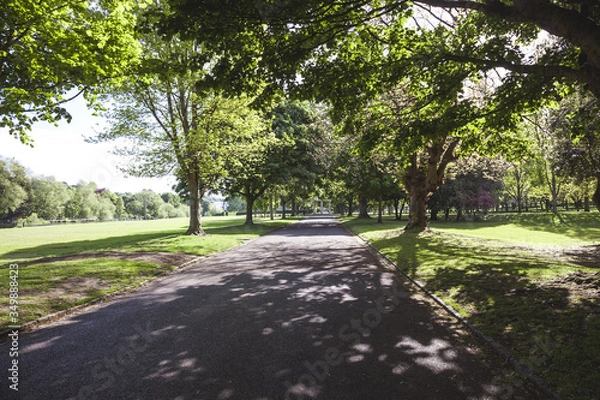 Fototapeta path in the park