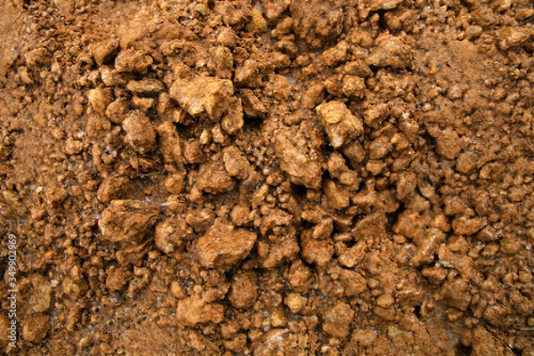 Fototapeta abstract green background