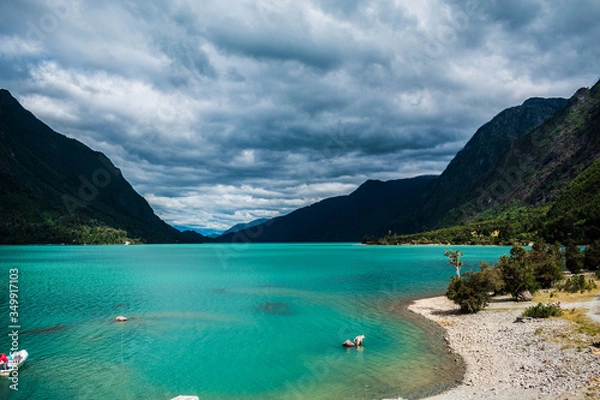 Fototapeta tagua tagua