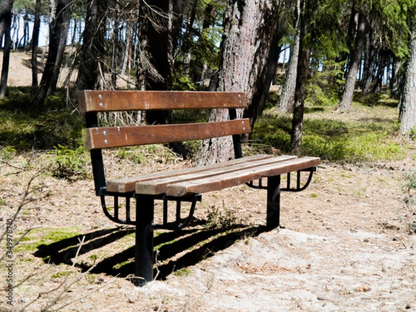 Obraz ławka w lesie, droga nad morze