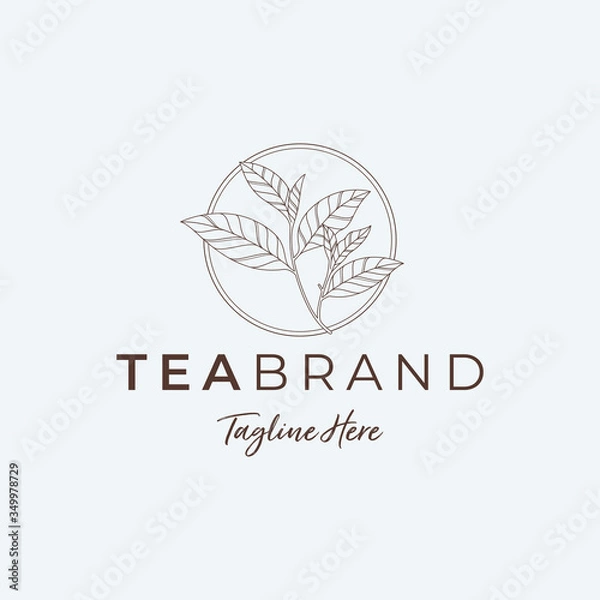 Fototapeta MINIMALIST TEA LEAF LOGO ILLUSTRATIONS