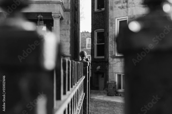 Obraz Fence between homes