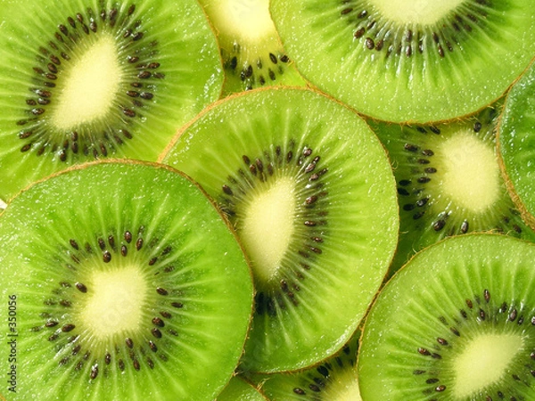 Fototapeta kiwi