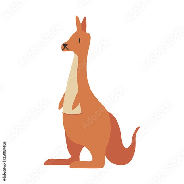 Obraz cute kangaroo animal