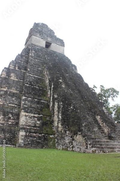 Fototapeta 世界有数のマヤ遺跡　グアテマラ随一の観光地　ティカル遺跡