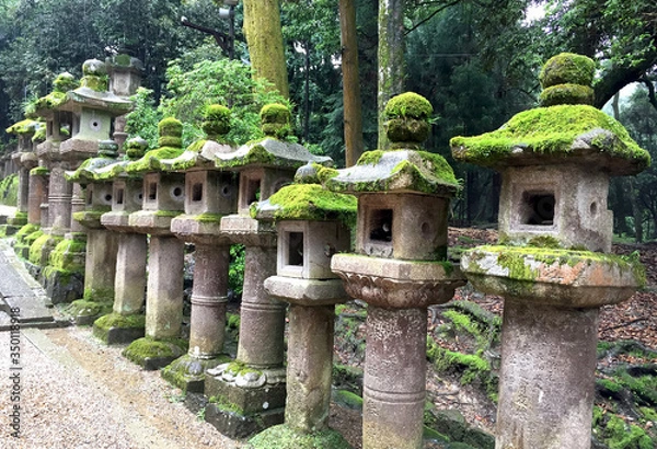 Fototapeta 春日大社