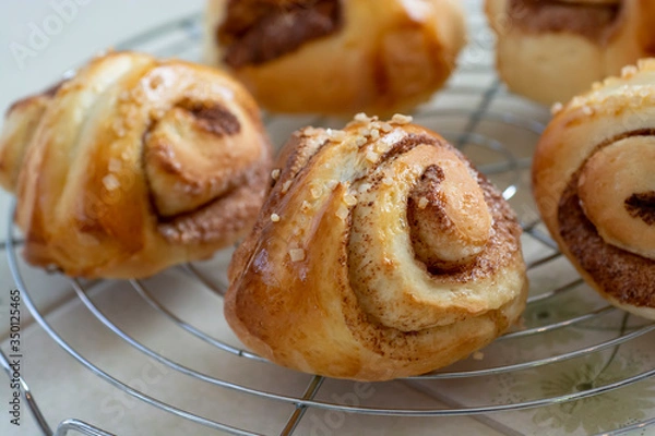 Obraz 自宅でパン作り　シナモンロール　焼きたてのシナモンロールをケーキクーラーの上に並べる