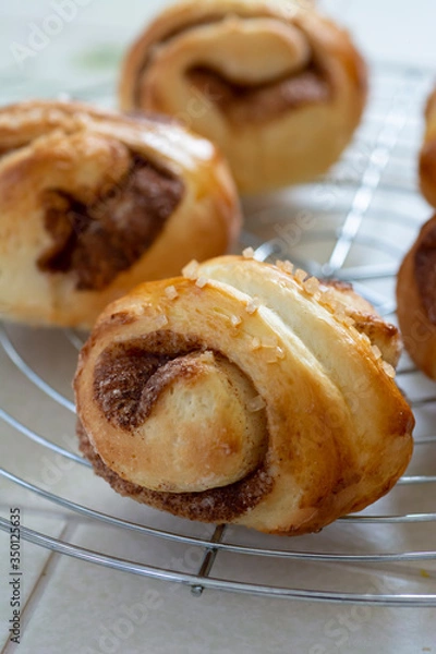 Obraz 自宅でパン作り　シナモンロール　焼きたてのシナモンロールをケーキクーラーの上に並べる
