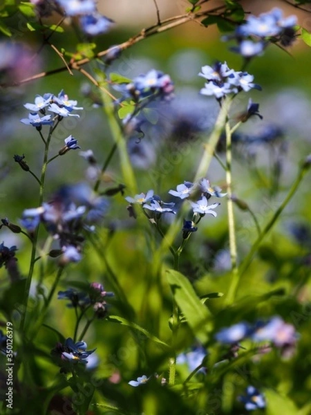 Obraz OLYMPUS DIGITAL CAMERA