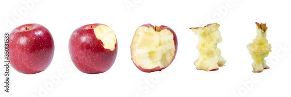 Obraz 林檎がかじられていく様子（健康な歯でかじったリンゴ）