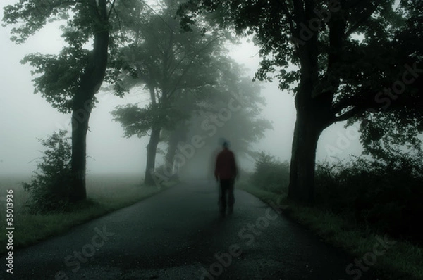 Obraz dark silhouette