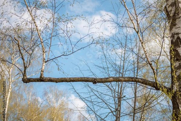 Obraz blue sky with white and grey rain clouds