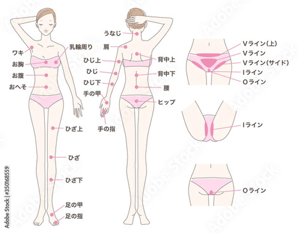 Obraz 女性 脱毛 全身