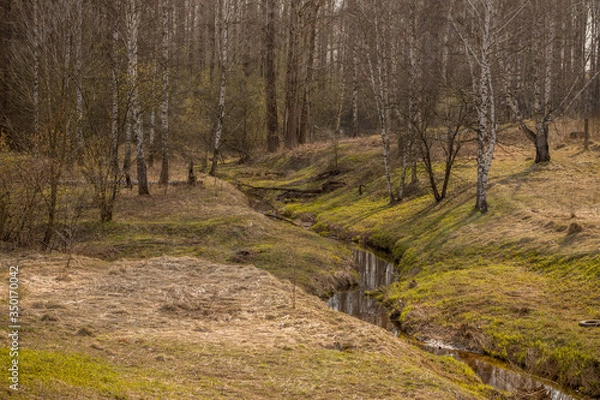 Obraz green hills with trees and a winding stream