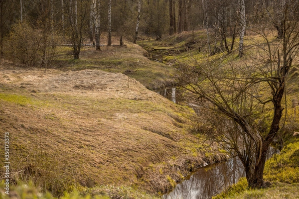 Obraz green hills with trees and a winding stream