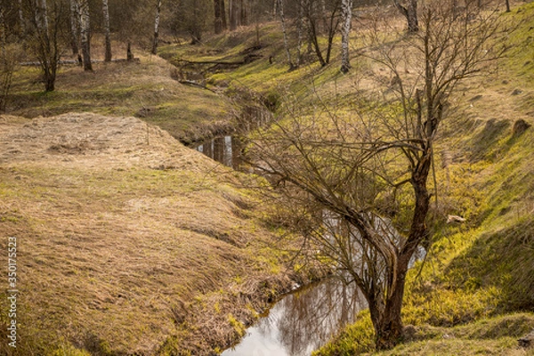 Obraz green hills with trees and a winding stream