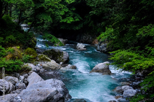 Obraz 東京　奥多摩の川