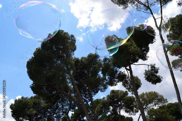 Obraz シャボン玉