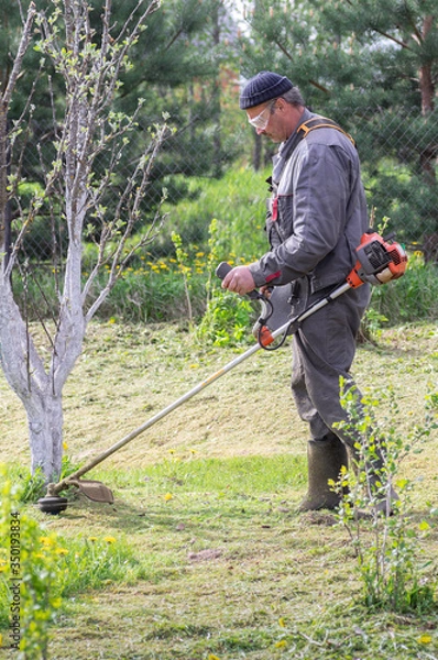 Fototapeta Farmer mows grass in the spring garden. The concept of care for a personal plot.