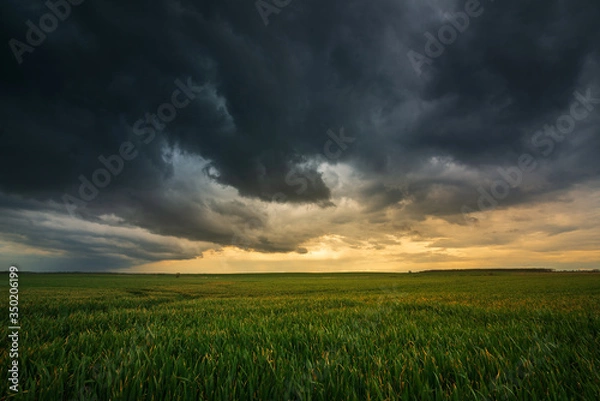 Obraz Storm clouds , dramatic dark sky over the rural field landscape