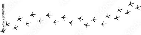 Obraz Szlak chodnikowy koguta