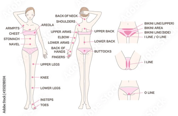 Obraz 女性 脱毛 全身