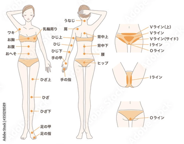 Obraz 女性 脱毛 全身