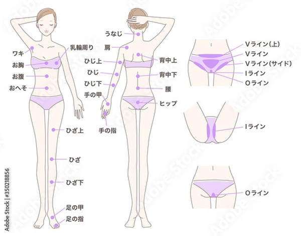 Fototapeta 女性 脱毛 全身