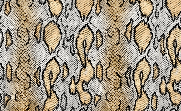 Obraz snake texture, python texture, animal print
