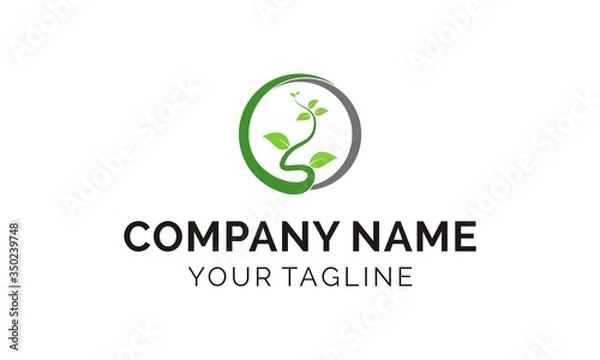 Fototapeta logo design growing leaf bloom