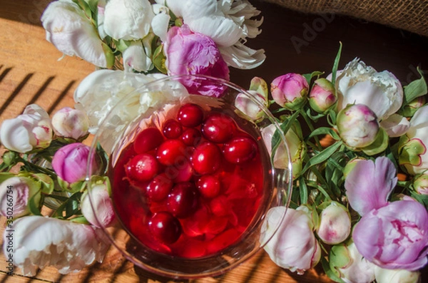 Fototapeta Magic solemn still life with glass of red drink with autumn organic berries surrounded by white flowers in the diagonal striped shadow of the blinds on a bright sunny day. Greeting card close-up