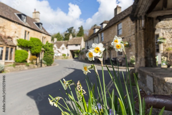 Obraz closeup of daffodils growing in the square of an english stone town called Castle Combe