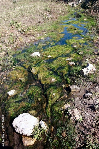 Fototapeta stream in the steppe