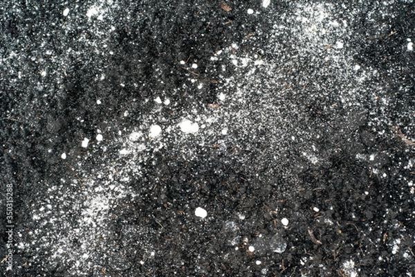 Fototapeta white slaked lime scattered on the soil surface, chernozem. Soil liming before planting