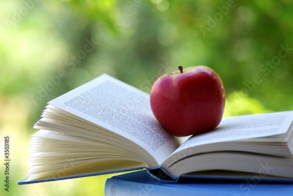 Obraz a red apple on a book