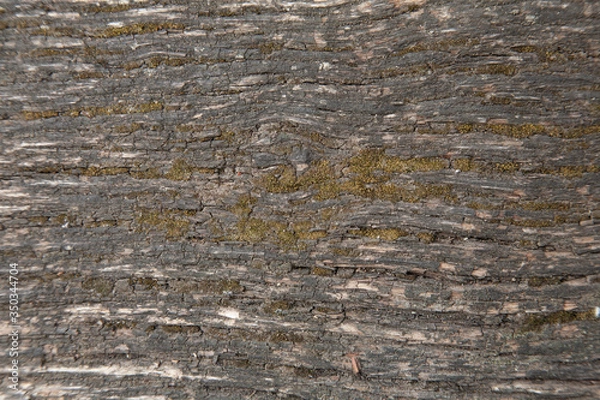 Obraz aged rural wood background