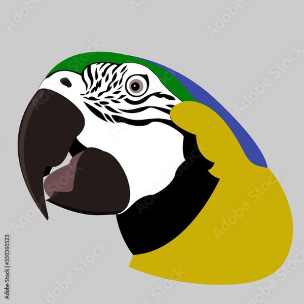 Obraz Illustration of a parrot