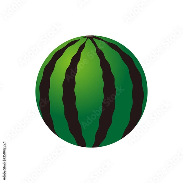 Obraz watermelon vector illustration
