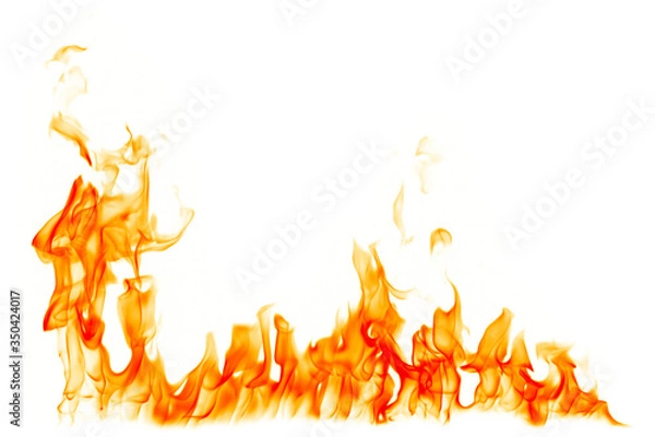 Obraz Fire flames burn on a white background.