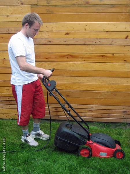 Obraz tondre la pelouse