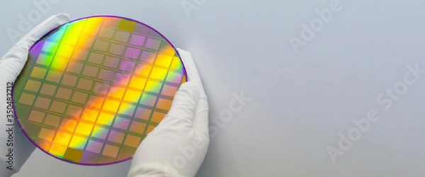 Fototapeta Hands in white gloves holding a silicon wafer with microchips on white background.Banner format.