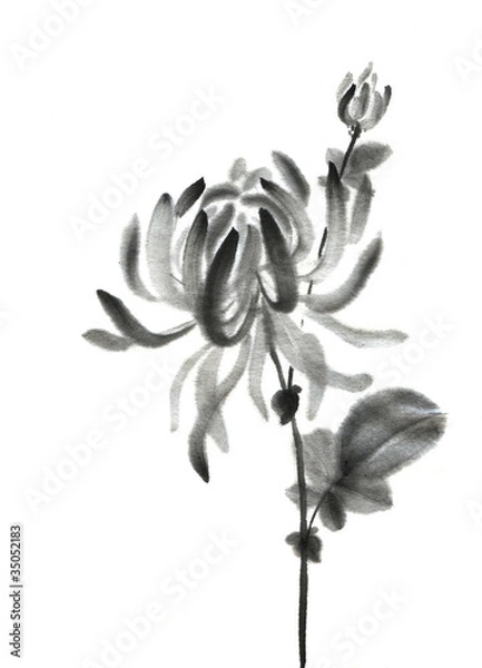 Obraz Sumie chrysanthemums