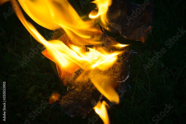 Obraz Close Up of a burning picture on grass