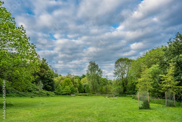 Fototapeta trees and sky
