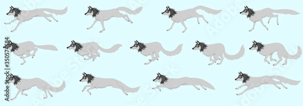 Fototapeta Angry Wolf Runcycle Vector Illustration, editable source file, artwork For 2D Animation, Info-graphics, Motion-graphics