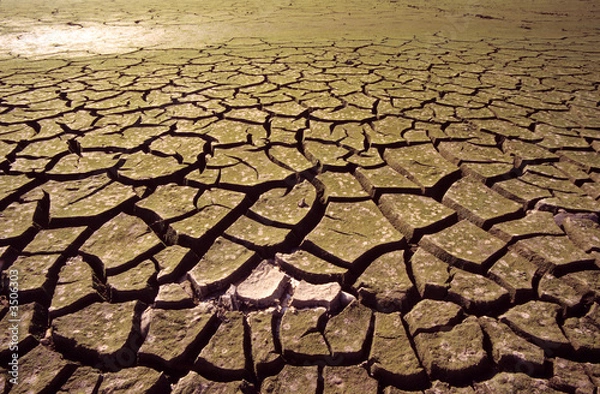 Fototapeta drought-4