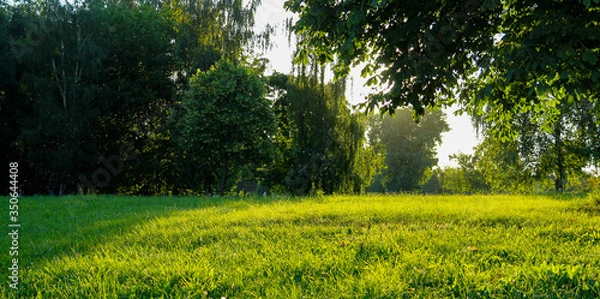 Obraz Beautiful nature of sunset landscape with sunbeam through trees and air