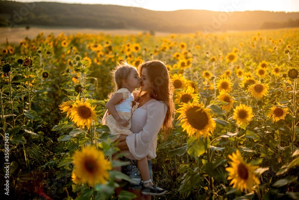 Fototapeta Beautiful mother and daughter walk and hug in a sunflower field in summer