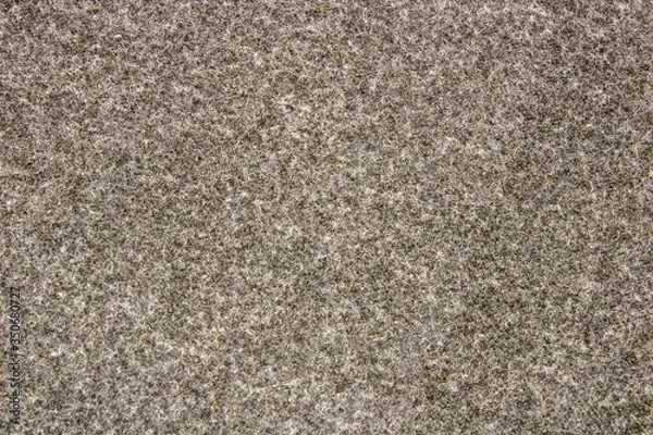 Obraz Macro close-up of gray office carpet for background, texture and pattern.